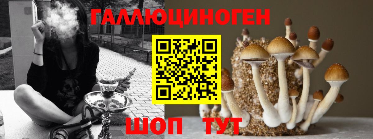 Галлюциногенные грибы Cubensis Мурино